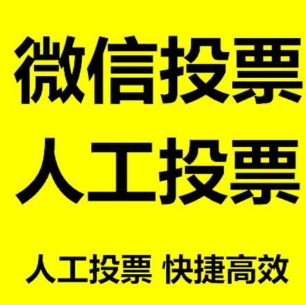 许昌市小程序微信拉票通过什么方式操作有哪些方法操作？